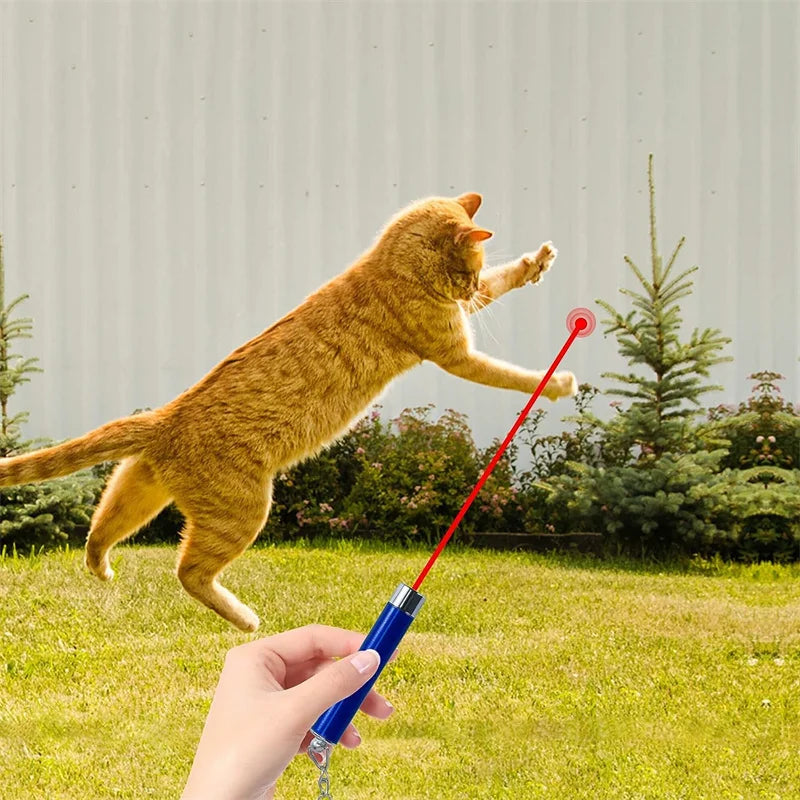 Mini Cat Dog Fun 4mW Pointer Red Light Laser LED Training Torch Pet Toys Pen 2-In-1 Cat Pet Toy Red Laser Light LED Pointer